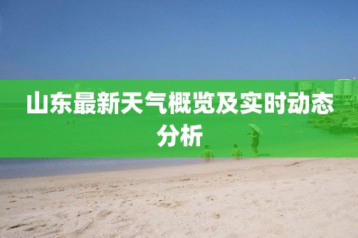 山东最新天气概览及实时动态分析