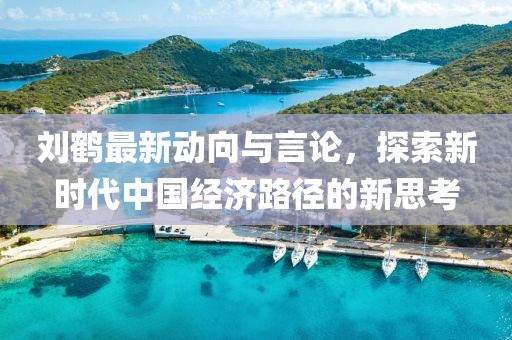 刘鹤最新动向与言论，探索新时代中国经济路径的新思考