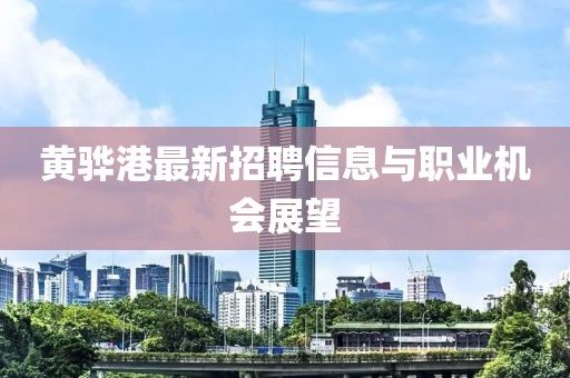 黄骅港最新招聘信息与职业机会展望