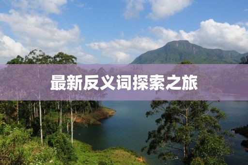 最新反义词探索之旅