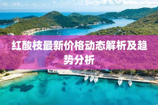 红酸枝最新价格动态解析及趋势分析