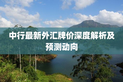 中行最新外汇牌价深度解析及预测动向