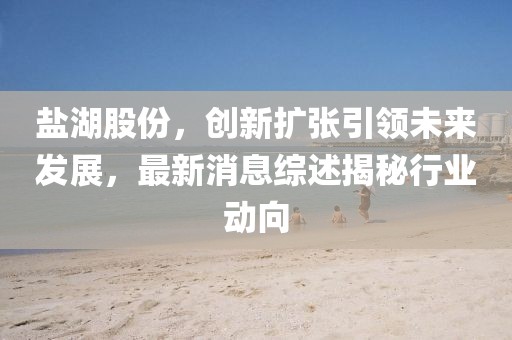 盐湖股份，创新扩张引领未来发展，最新消息综述揭秘行业动向