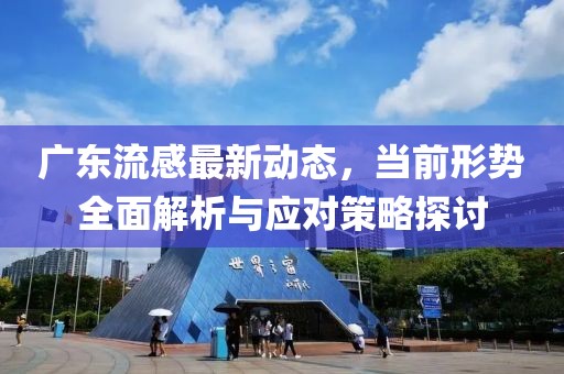 广东流感最新动态，当前形势全面解析与应对策略探讨