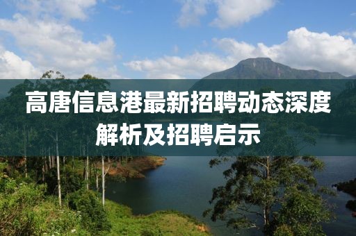 高唐信息港最新招聘动态深度解析及招聘启示