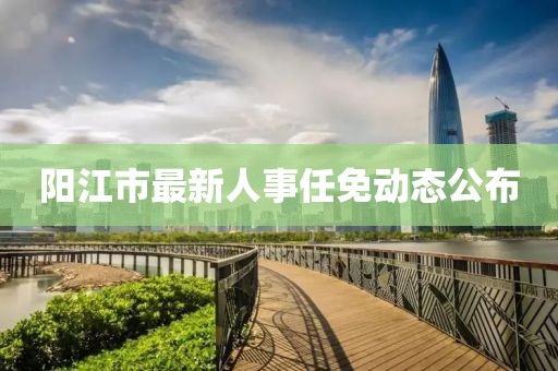 阳江市最新人事任免动态公布