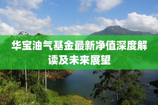 华宝油气基金最新净值深度解读及未来展望