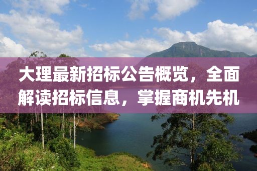 大理最新招标公告概览，全面解读招标信息，掌握商机先机