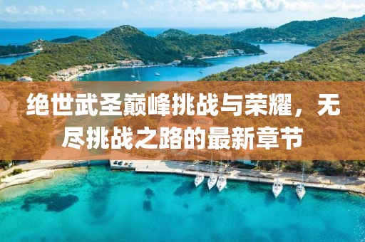 绝世武圣巅峰挑战与荣耀，无尽挑战之路的最新章节