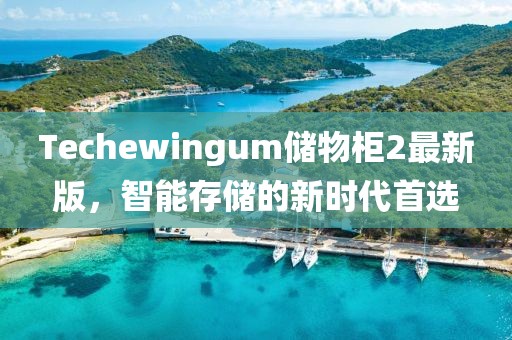 Techewingum储物柜2最新版，智能存储的新时代首选