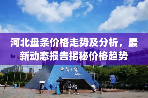 河北盘条价格走势及分析，最新动态报告揭秘价格趋势