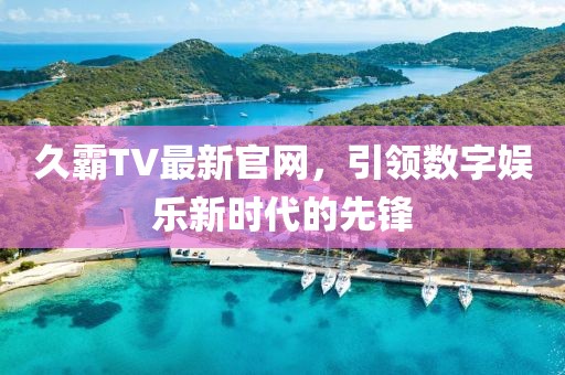 久霸TV最新官网，引领数字娱乐新时代的先锋