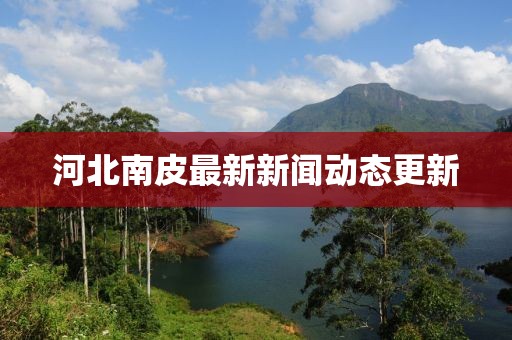 河北南皮最新新闻动态更新