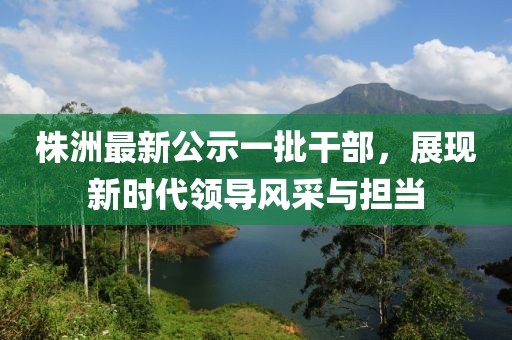 株洲最新公示一批干部，展现新时代领导风采与担当