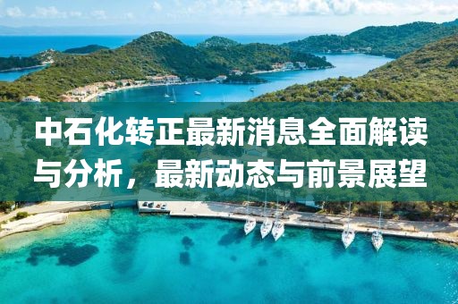 中石化转正最新消息全面解读与分析，最新动态与前景展望