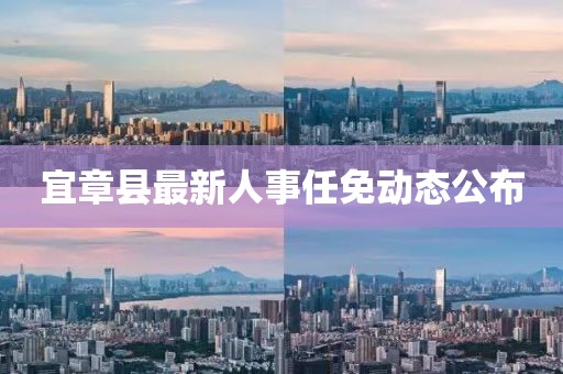 宜章县最新人事任免动态公布