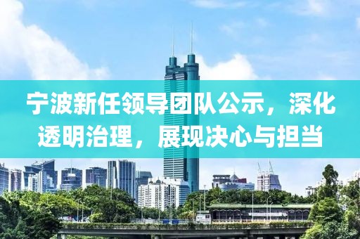 宁波新任领导团队公示，深化透明治理，展现决心与担当