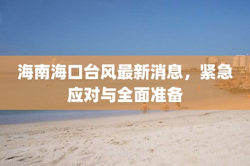 海南海口台风最新消息，紧急应对与全面准备