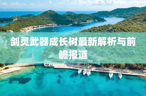 剑灵武器成长树最新解析与前瞻报道