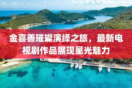 金喜善璀璨演绎之旅，最新电视剧作品展现星光魅力