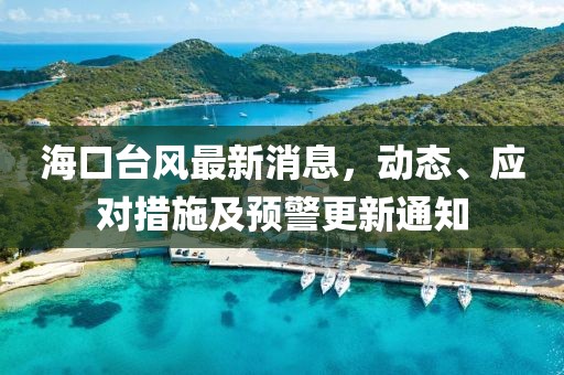 海口台风最新消息，动态、应对措施及预警更新通知