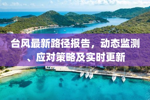 台风最新路径报告，动态监测、应对策略及实时更新