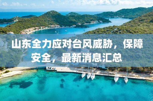 山东全力应对台风威胁，保障安全，最新消息汇总