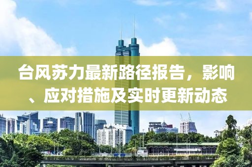 台风苏力最新路径报告，影响、应对措施及实时更新动态