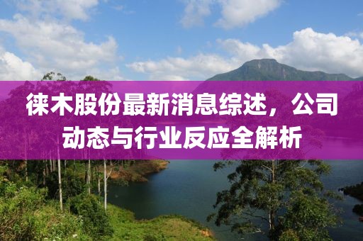 徕木股份最新消息综述，公司动态与行业反应全解析