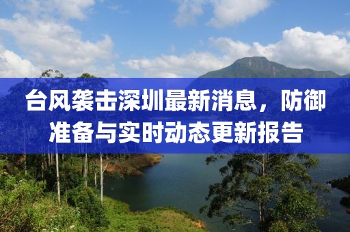 台风袭击深圳最新消息，防御准备与实时动态更新报告