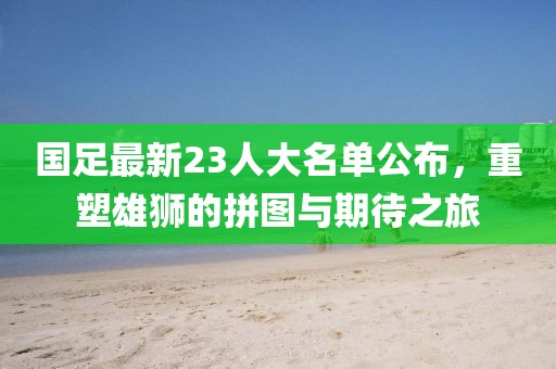 国足最新23人大名单公布，重塑雄狮的拼图与期待之旅