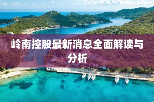 岭南控股最新消息全面解读与分析