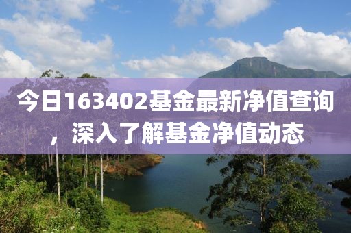 今日163402基金最新净值查询，深入了解基金净值动态