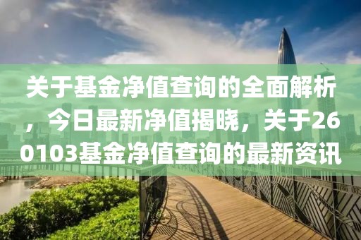 关于基金净值查询的全面解析，今日最新净值揭晓，关于260103基金净值查询的最新资讯