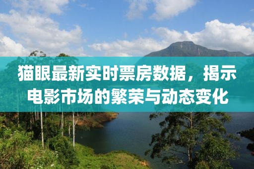 猫眼最新实时票房数据，揭示电影市场的繁荣与动态变化