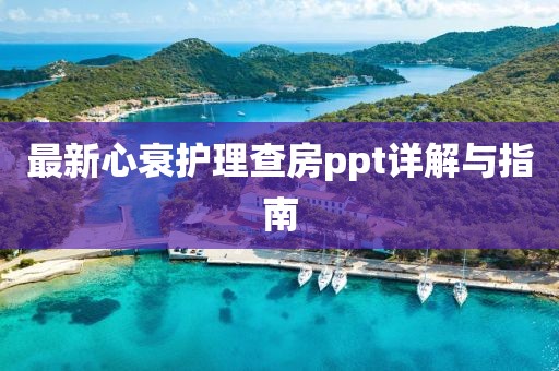 最新心衰护理查房ppt详解与指南