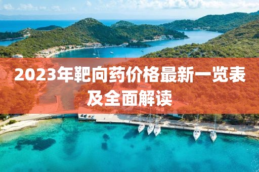 2023年靶向药价格最新一览表及全面解读