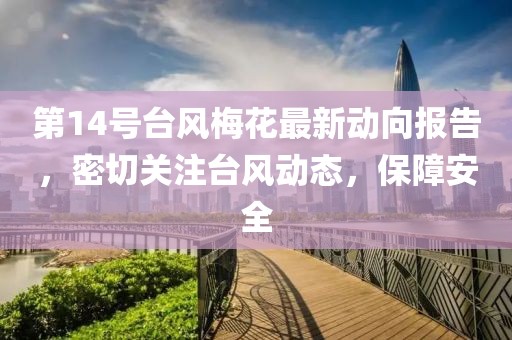 第14号台风梅花最新动向报告，密切关注台风动态，保障安全