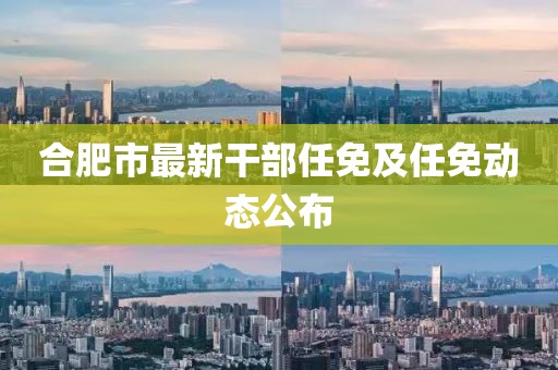 合肥市最新干部任免及任免动态公布