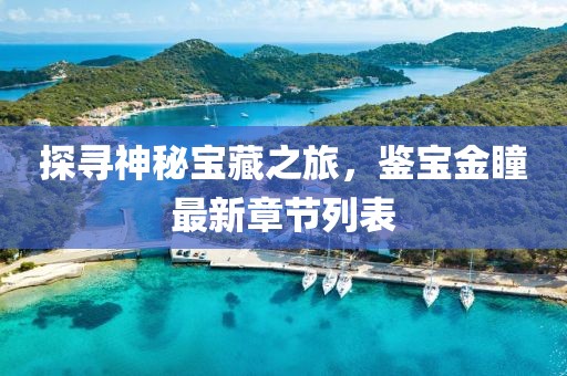 探寻神秘宝藏之旅，鉴宝金瞳最新章节列表