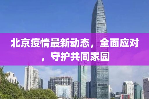 北京疫情最新动态，全面应对，守护共同家园