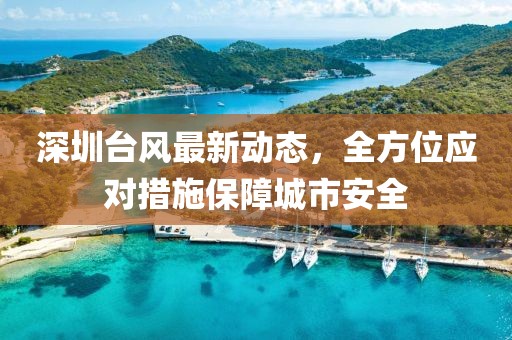 深圳台风最新动态，全方位应对措施保障城市安全