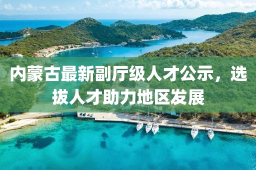 内蒙古最新副厅级人才公示，选拔人才助力地区发展