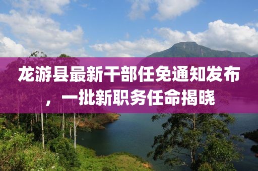 龙游县最新干部任免通知发布，一批新职务任命揭晓