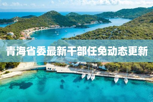 青海省委最新干部任免动态更新