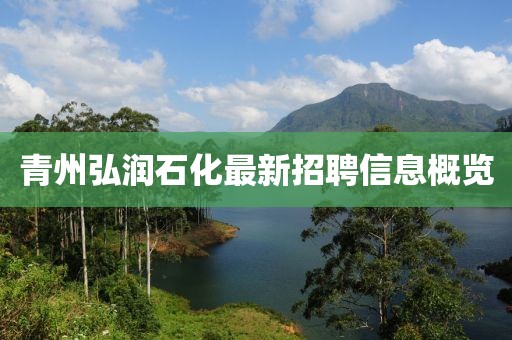 青州弘润石化最新招聘信息概览